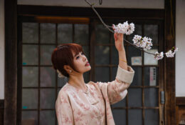 Japan_Sakura_2025 (14/79)